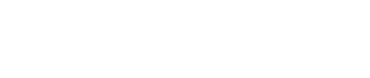 ALDI DX — Driving Digital Value